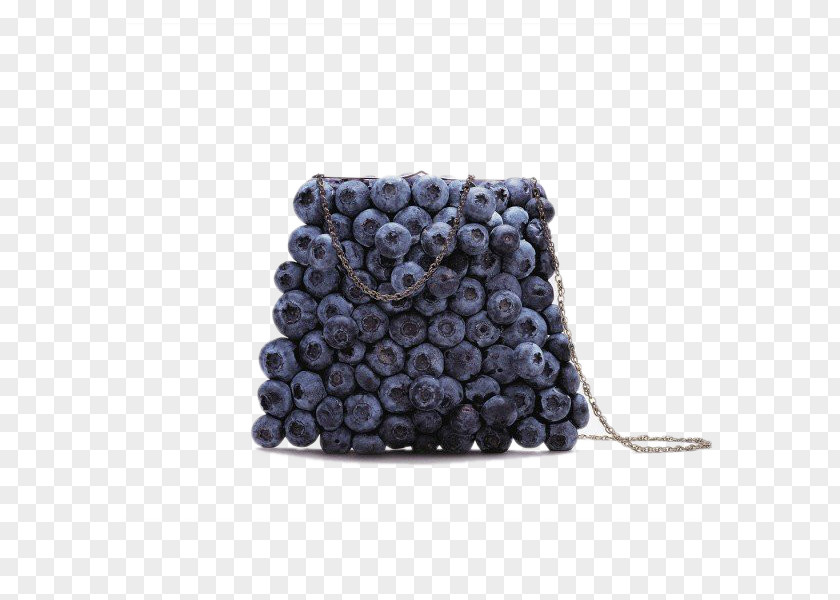Blueberry Bag Photographer Photography Fashion Still Life PNG