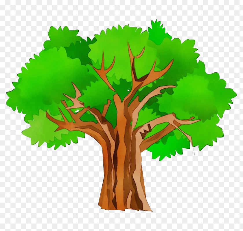 Clip Art Transparency Tree Openclipart PNG
