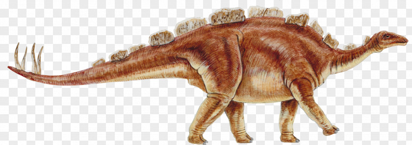 Cretaceous Dinosaur Tyrannosaurus Stegosaurus Reptile PNG