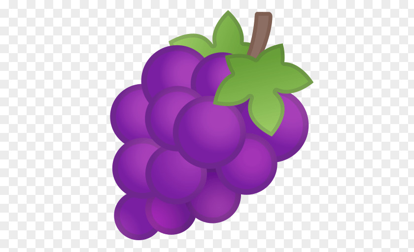 Grape Common Vine Wine Fruit PNG