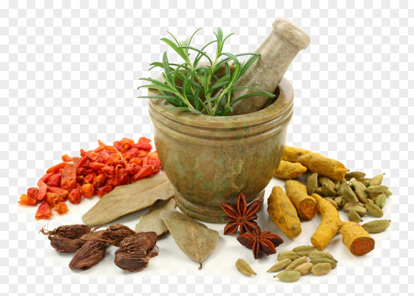 Benefits Of Garlic Ayurveda Ayurvedic Healing Medicine Therapy Health PNG