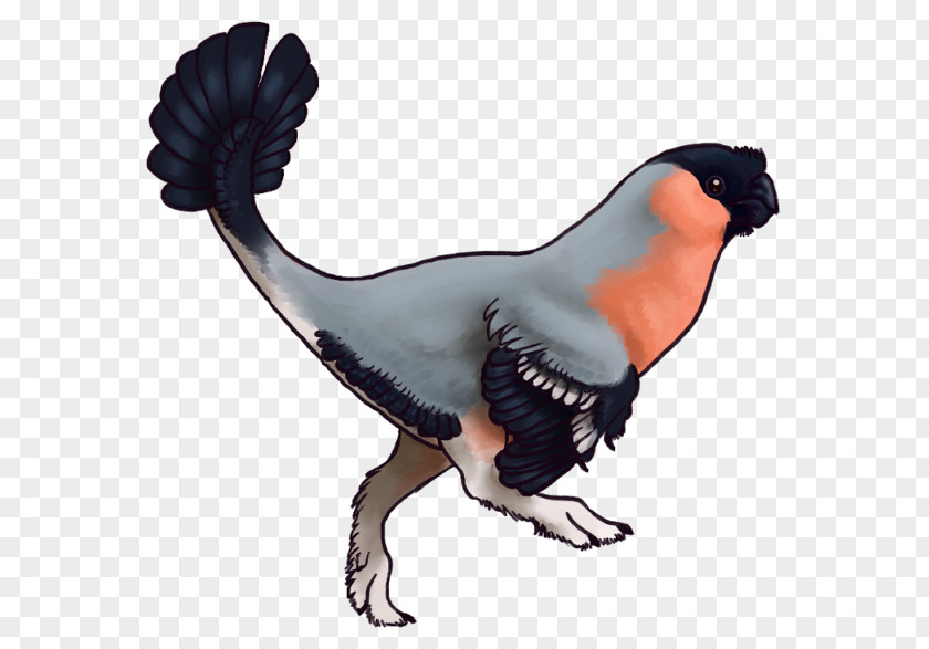 Bird Oviraptor Philovenator Triceratops Dilophosaurus PNG