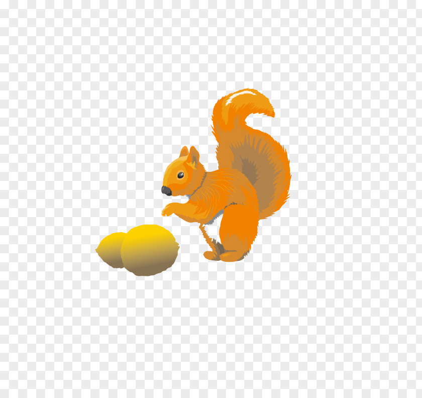 Cute Squirrel Tree Euclidean Vector Pine PNG