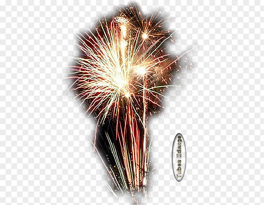 Fireworks Explosive Material Web Hosting Service New Year PNG