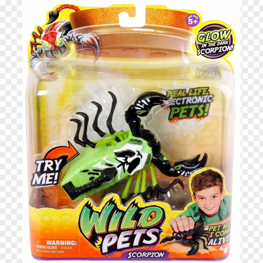 Pet Toys Toy Scorpion Amazon.com Game PNG