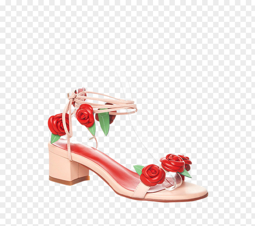 Sandal High-heeled Shoe Slingback PNG