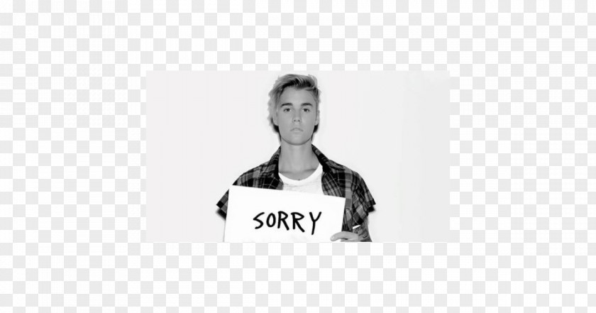 Sorry Song Musician Purpose PNG