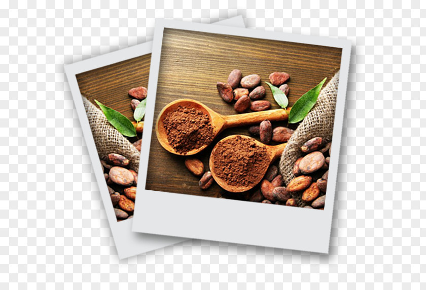 Chocolate Cocoa Bean Cacao Tree Solids Dark PNG