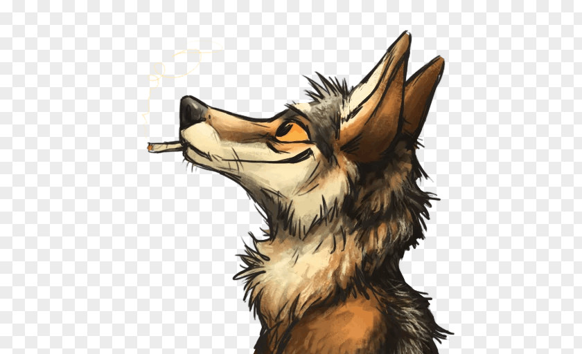 Coyote Streamer Sticker Telegram Canidae Dog PNG