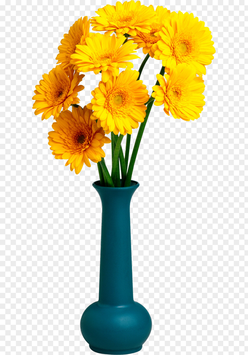 Flower Cut Flowers Vase Photography Glebionis Segetum PNG