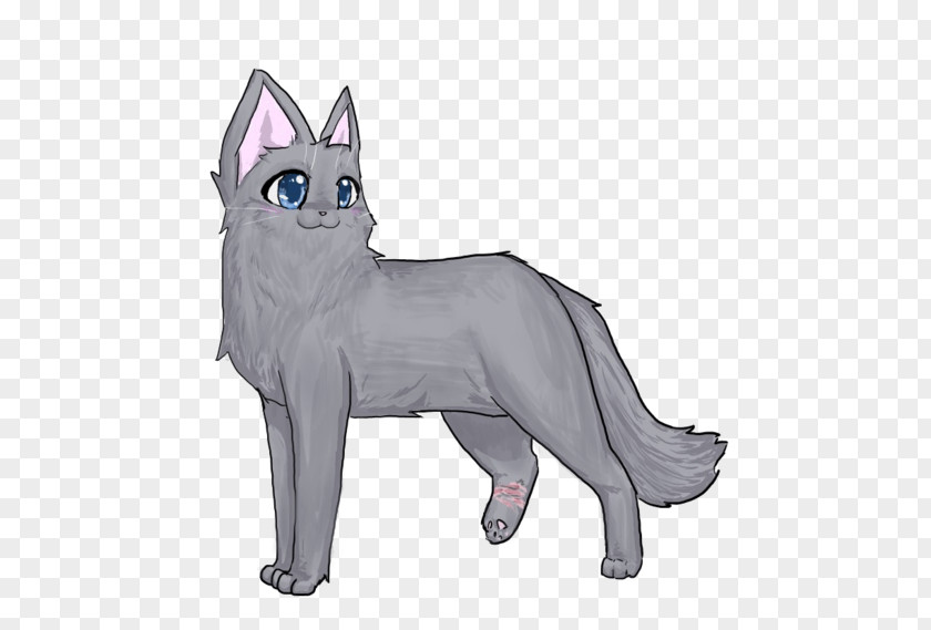 Kitten Whiskers Dog Paw PNG