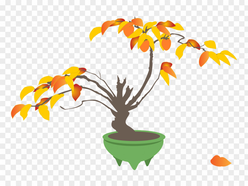 Persimmon Japanese Tree Flowerpot PNG