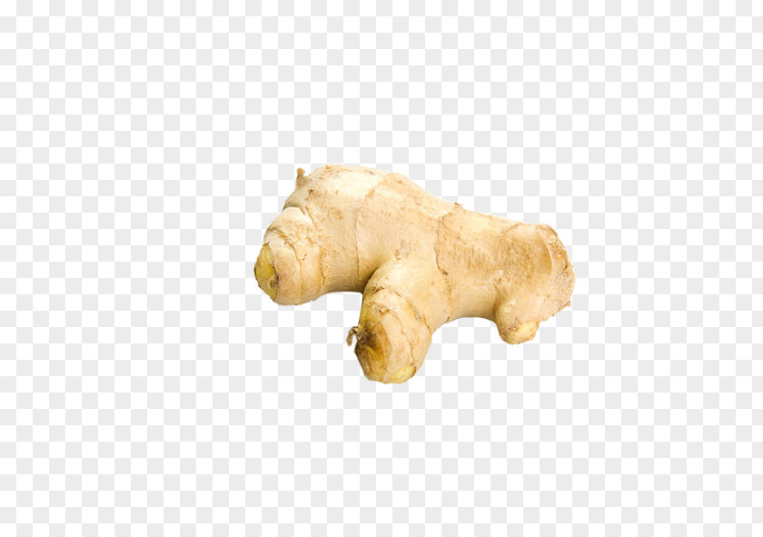 Ginger Root Vegetables Icon PNG