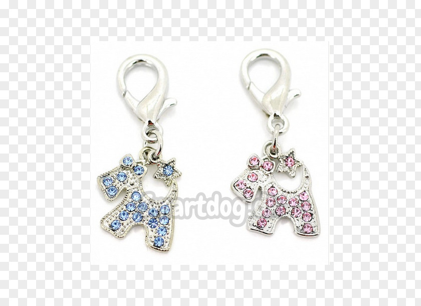 Jewellery Earring Charms & Pendants Body Silver PNG
