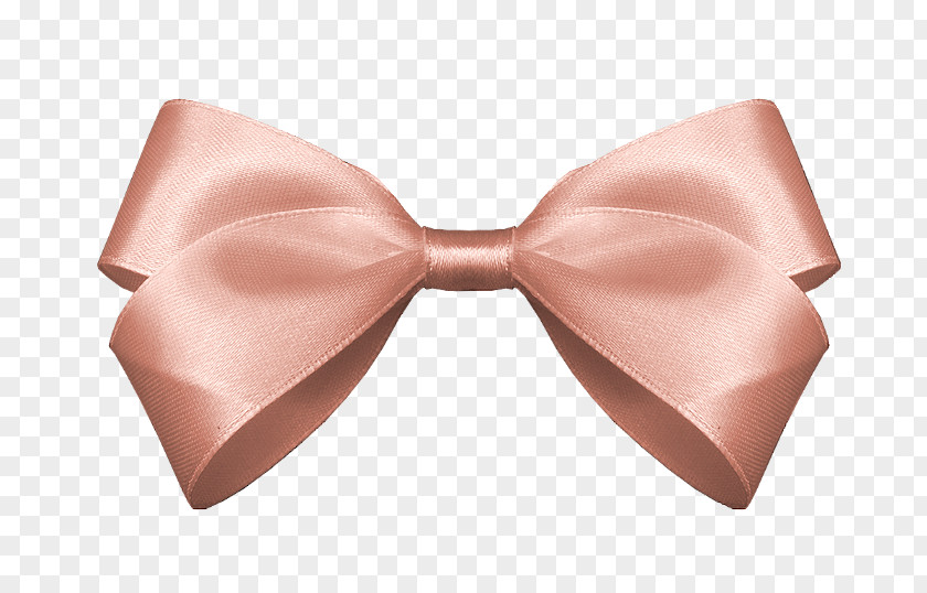 Ribbon Bow Tie Autumn Summer Spring PNG
