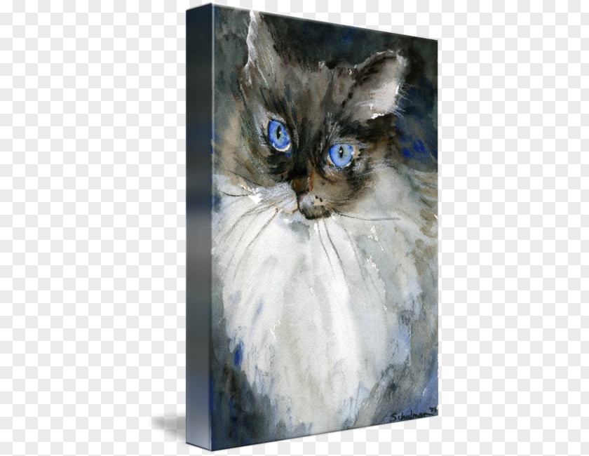 Watercolor Painting Animal Ragdoll Whiskers Kitten Domestic Short-haired Cat Siamese PNG