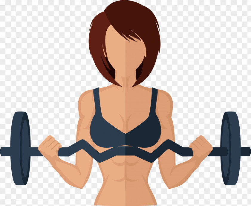 Barbell Woman Physical Exercise Fitness Weight Training Loss PNG