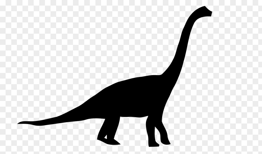 Brachiosaurus Apatosaurus Diplodocus Brontosaurus Dinosaur Size PNG
