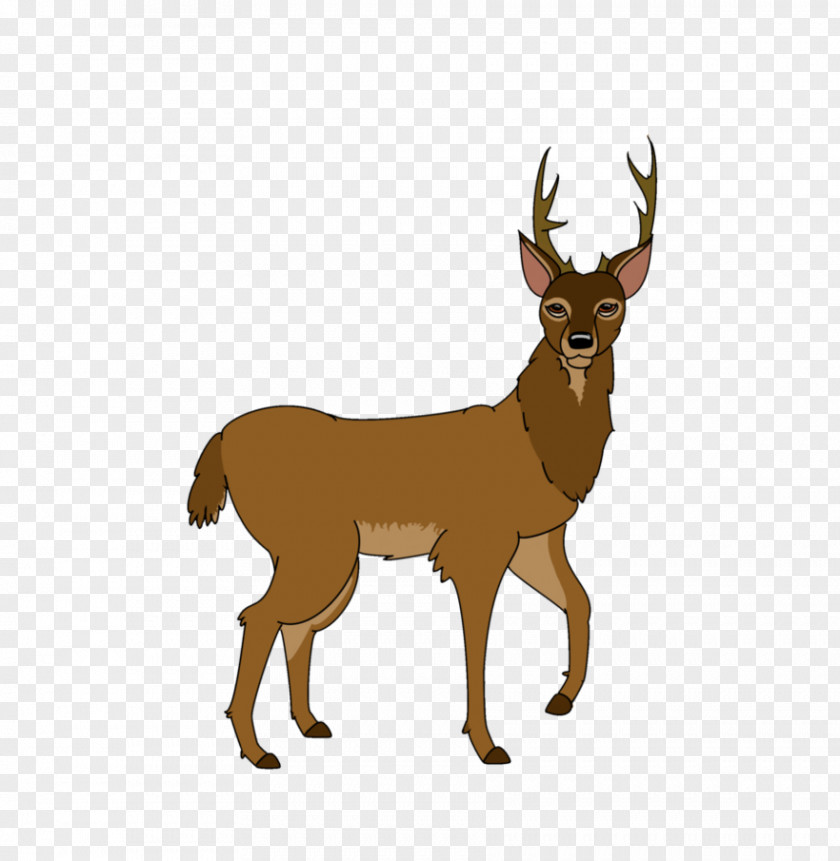 Deer Draw Reindeer White-tailed Elk The Walt Disney Company PNG