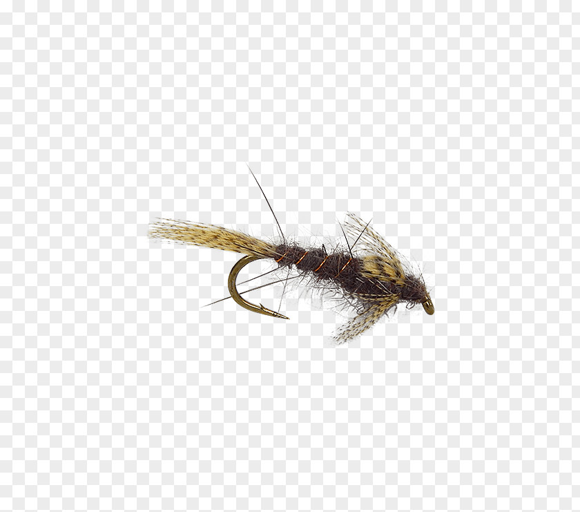 Fly Tying Artificial Fishing Nymph Hackles PNG