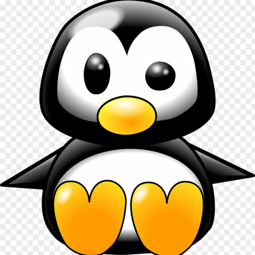 Pinguin Penguin Clip Art Vector Graphics Image Drawing PNG