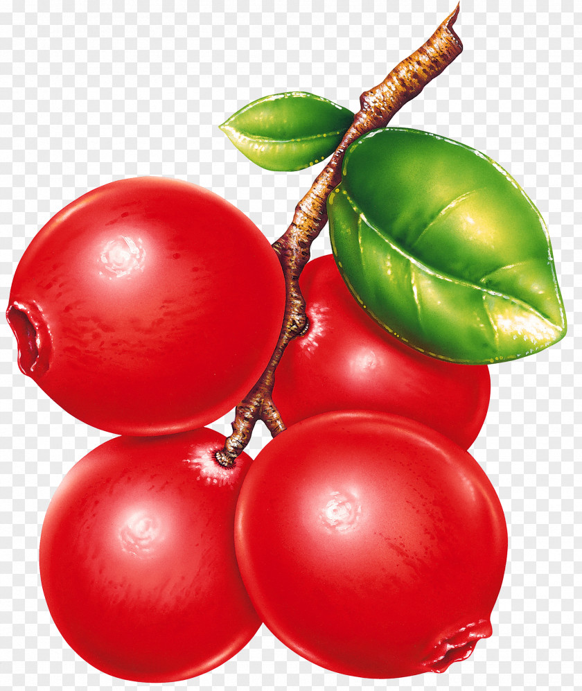 Raspberries Fruit Preserves Berry Clip Art PNG
