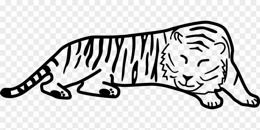 Tiger Black Drawing Saber-toothed Cat Clip Art PNG