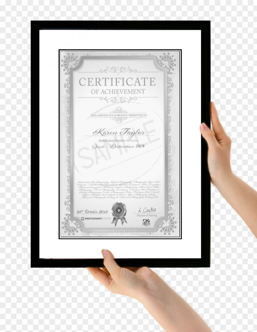 Certificate Of Achievement Professional Certification Course Photography PNG