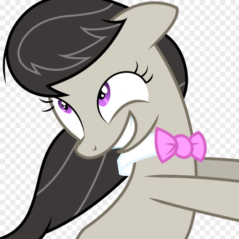 My Little Pony Derpy Hooves Princess Celestia Rarity Pinkie Pie PNG