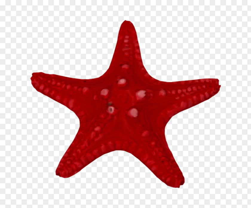 Red Star Clip Art PNG