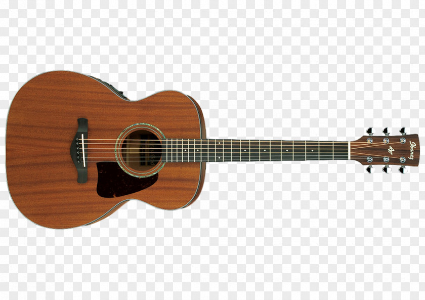 Acoustic Guitar Acoustic-electric Cutaway Dreadnought PNG
