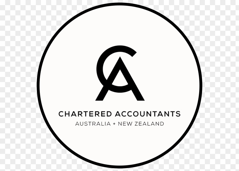 Business Finance Accountant Accounting Lutz & Associates PNG