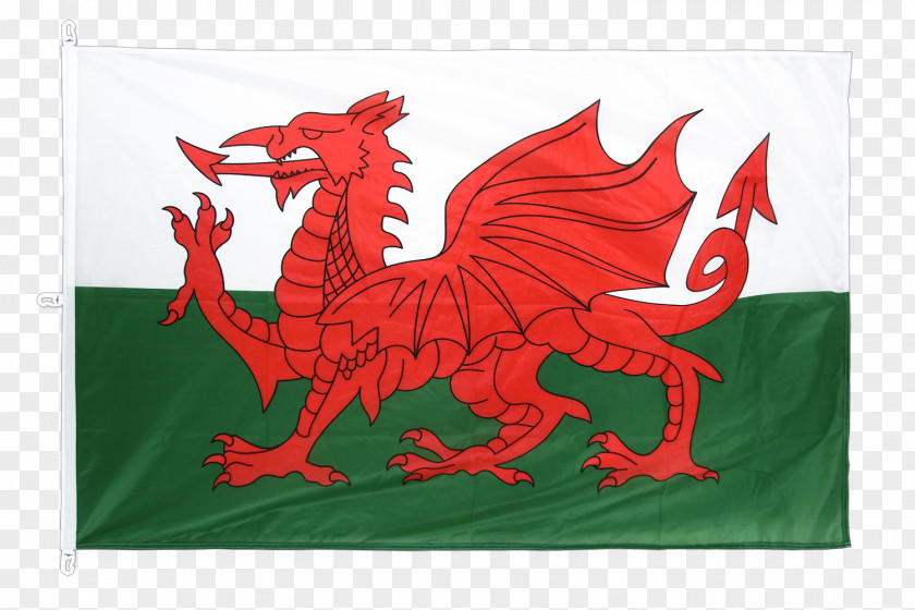 Flag Of Wales Welsh Dragon National PNG