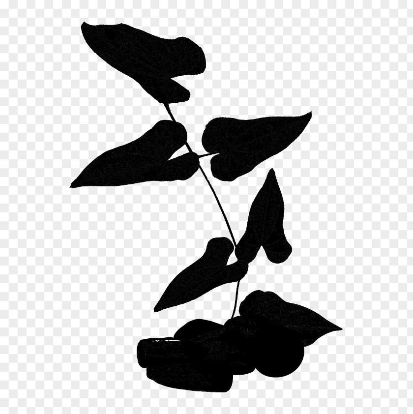 Leaf Font Tree PNG