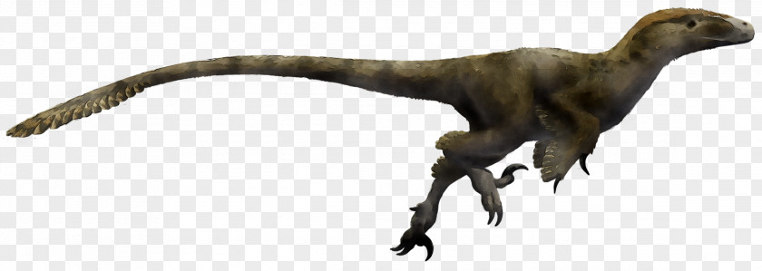 Utahraptor Velociraptor Dromaeosaurus Tyrannosaurus Deinonychus PNG