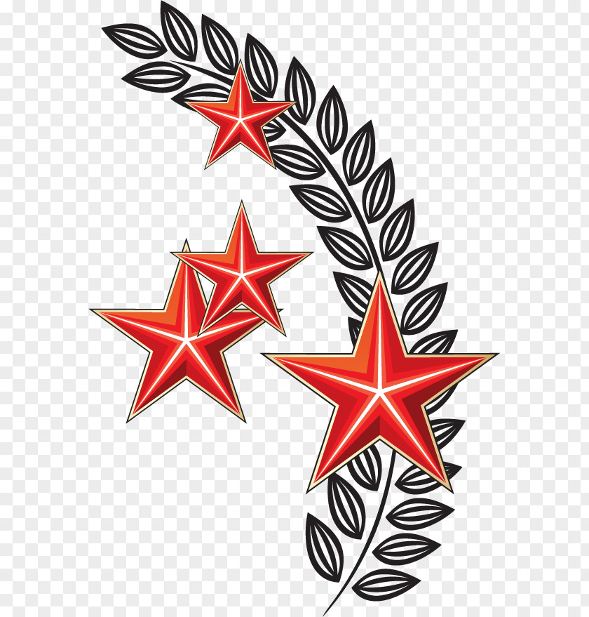 Vector Hand-painted Pentacle Wheat Russia Victory Day Holiday Drawing Medal PNG