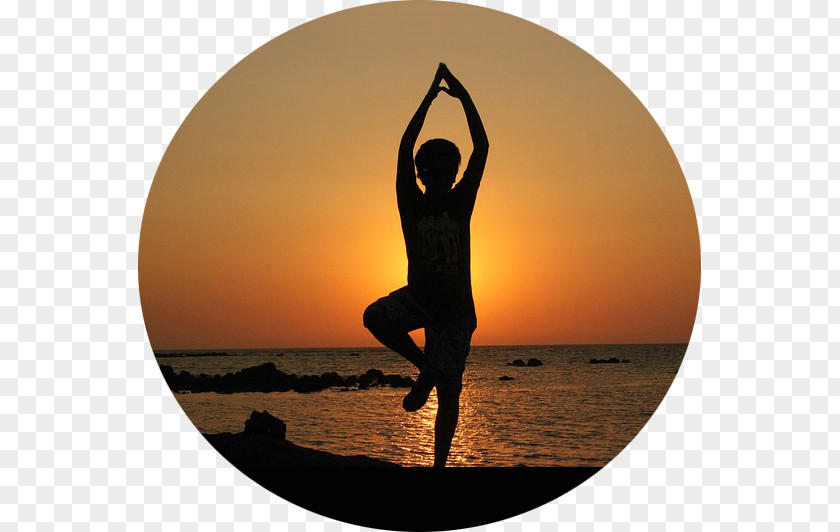 Yoga Exercise Asana Health Balance PNG