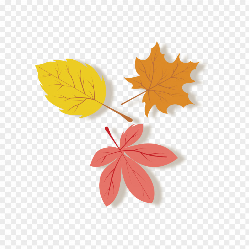 Autumn Beautiful Leaves Leaf PNG