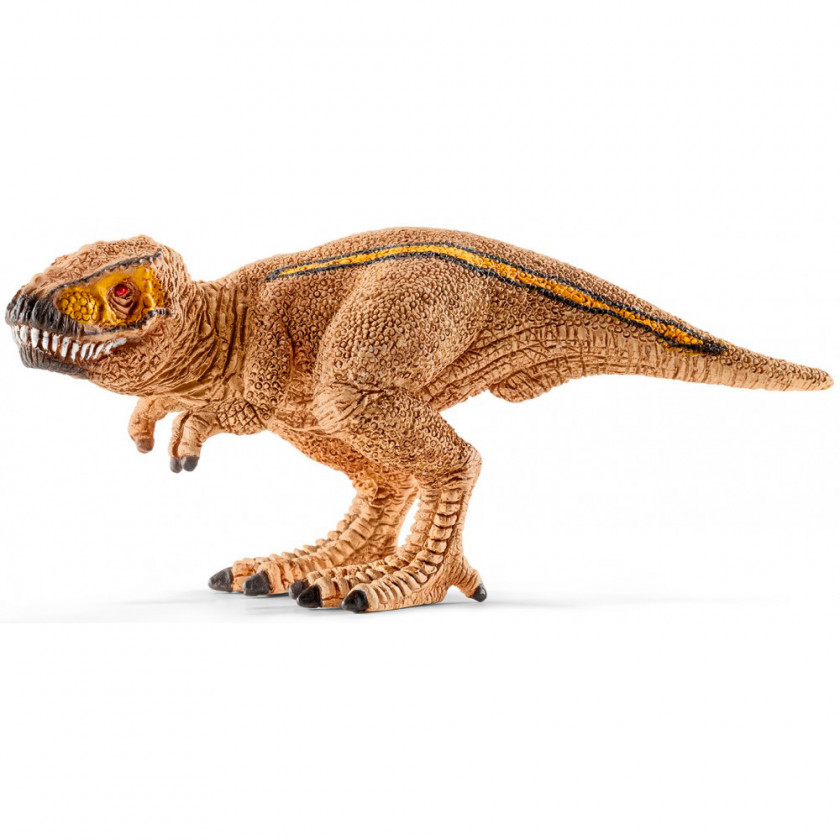 Dinosaur Tyrannosaurus Spinosaurus Triceratops Velociraptor PNG