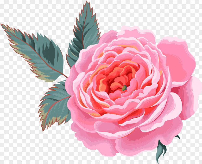 Flower Decoration Picture PNG