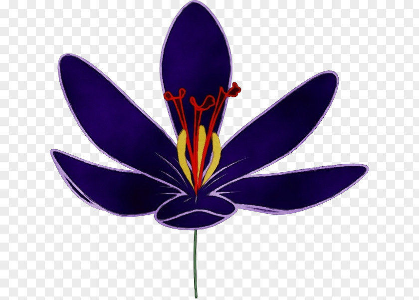 Iris Family Flower Purple Petal Plant Violet PNG