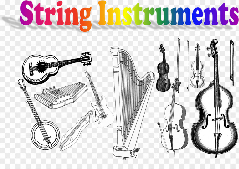 Musical Instruments String Family PNG