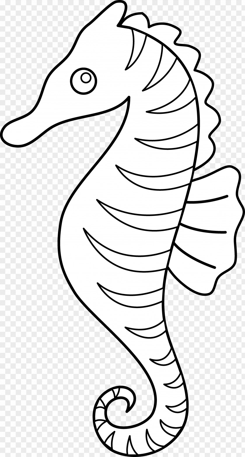 Sea Horse Outline Seahorse Line Art Clip PNG