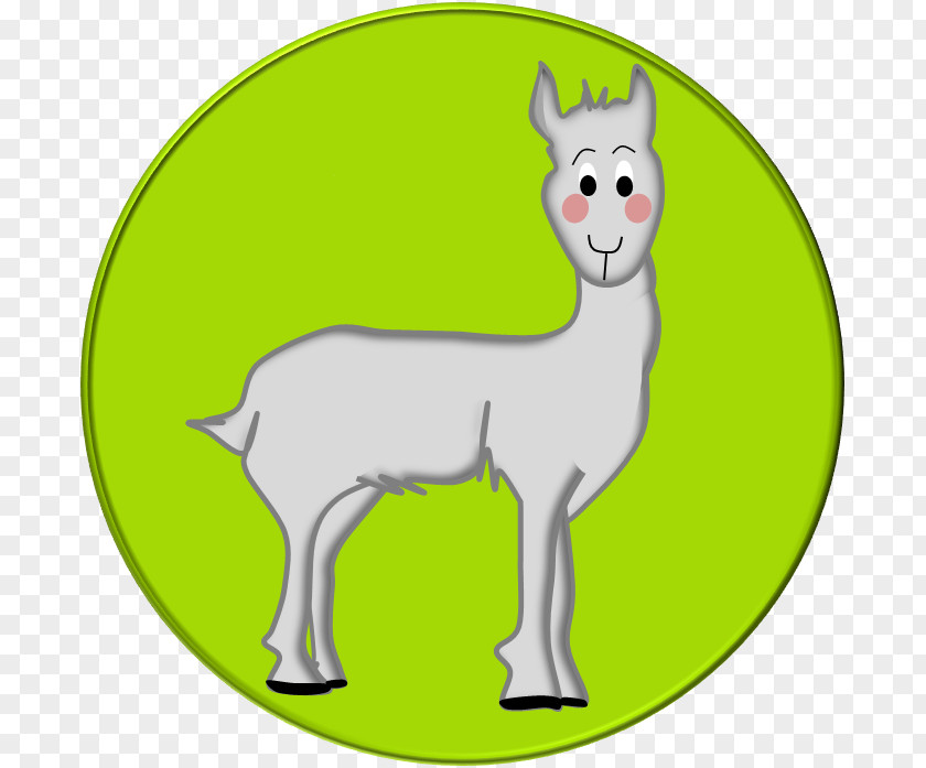 Sheep Llama Alpaca Clip Art Goat PNG