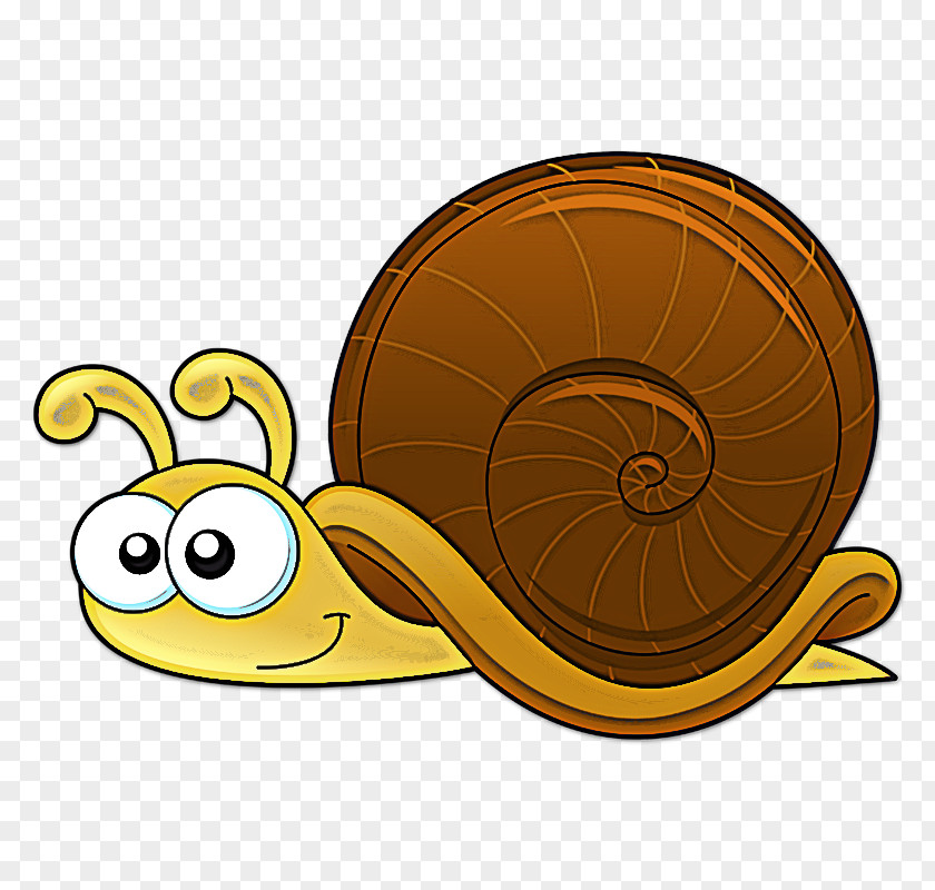 Snails And Slugs Snail Sea Slug Lymnaeidae PNG