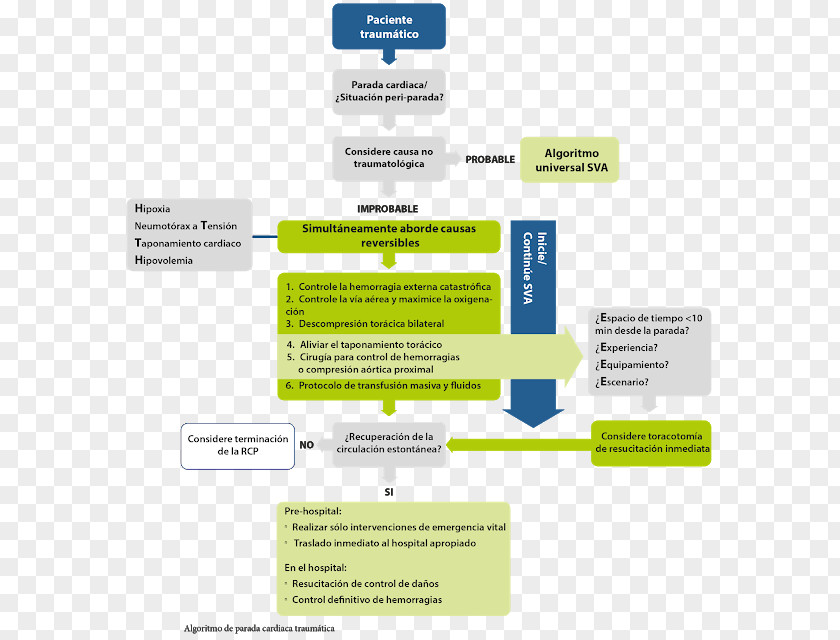 Bus Stop European Resuscitation Council Cardiopulmonary Cardiac Arrest (UK) Acute Coronary Syndrome PNG