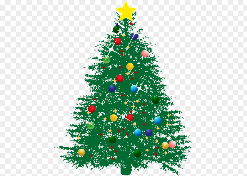 Christmas Tree Day Fir Spruce PNG