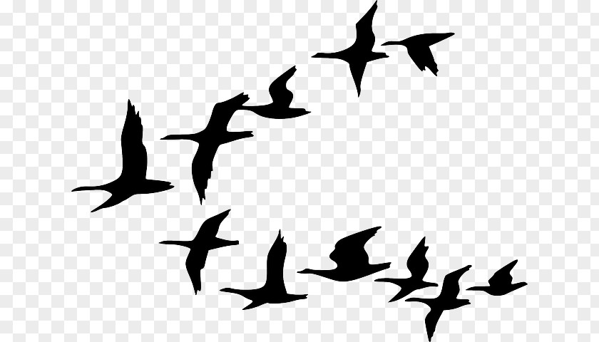 Clouds Sky City Silhouette Canada Goose Bird Flock Clip Art PNG