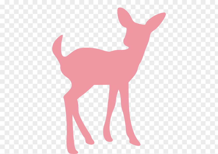 Doe Cliparts White-tailed Deer Silhouette Infant Clip Art PNG