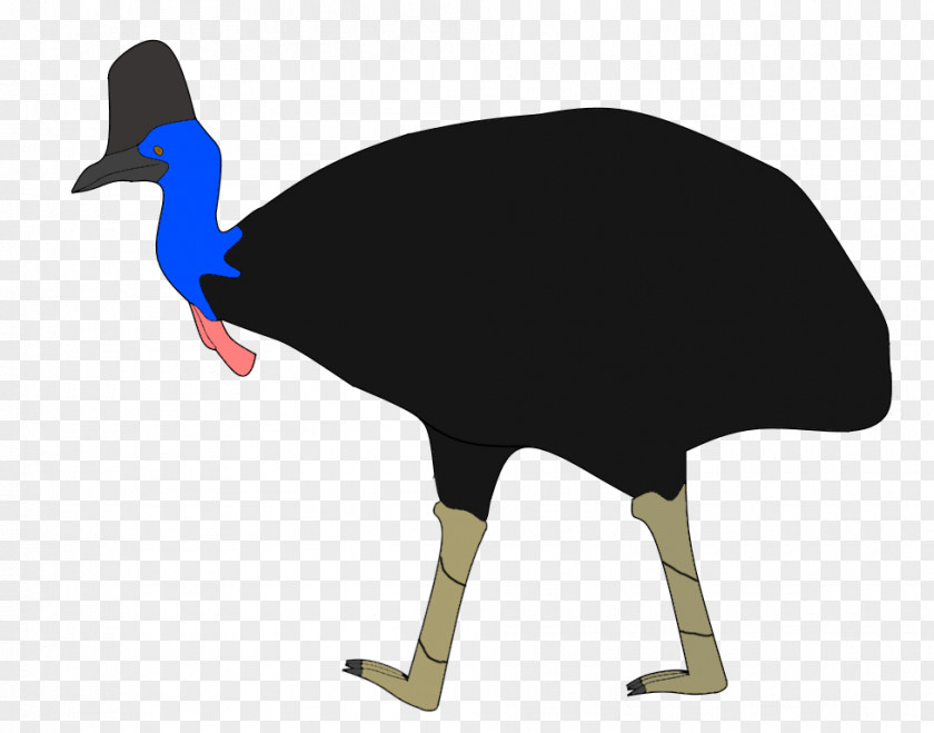 Goose Common Ostrich Cygnini Anatidae Duck PNG